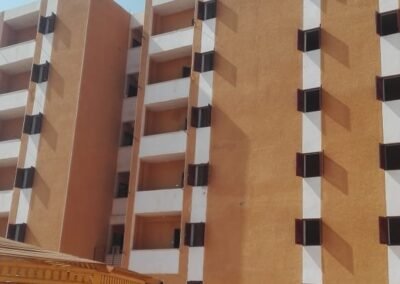 مبنى المدينة الجامعية بمدينة أسوان الجديدة – جامعة أسوان